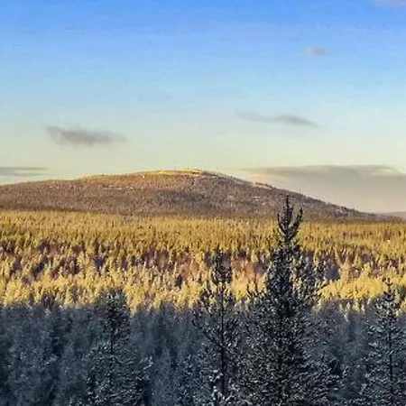 Holiday Mustikka * Syöte