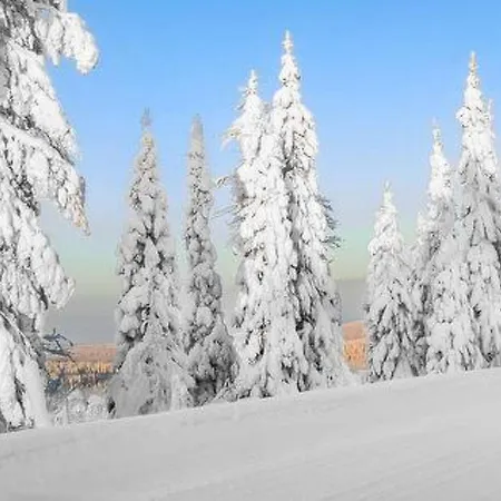 Holiday Mustikka Feriehus Syöte